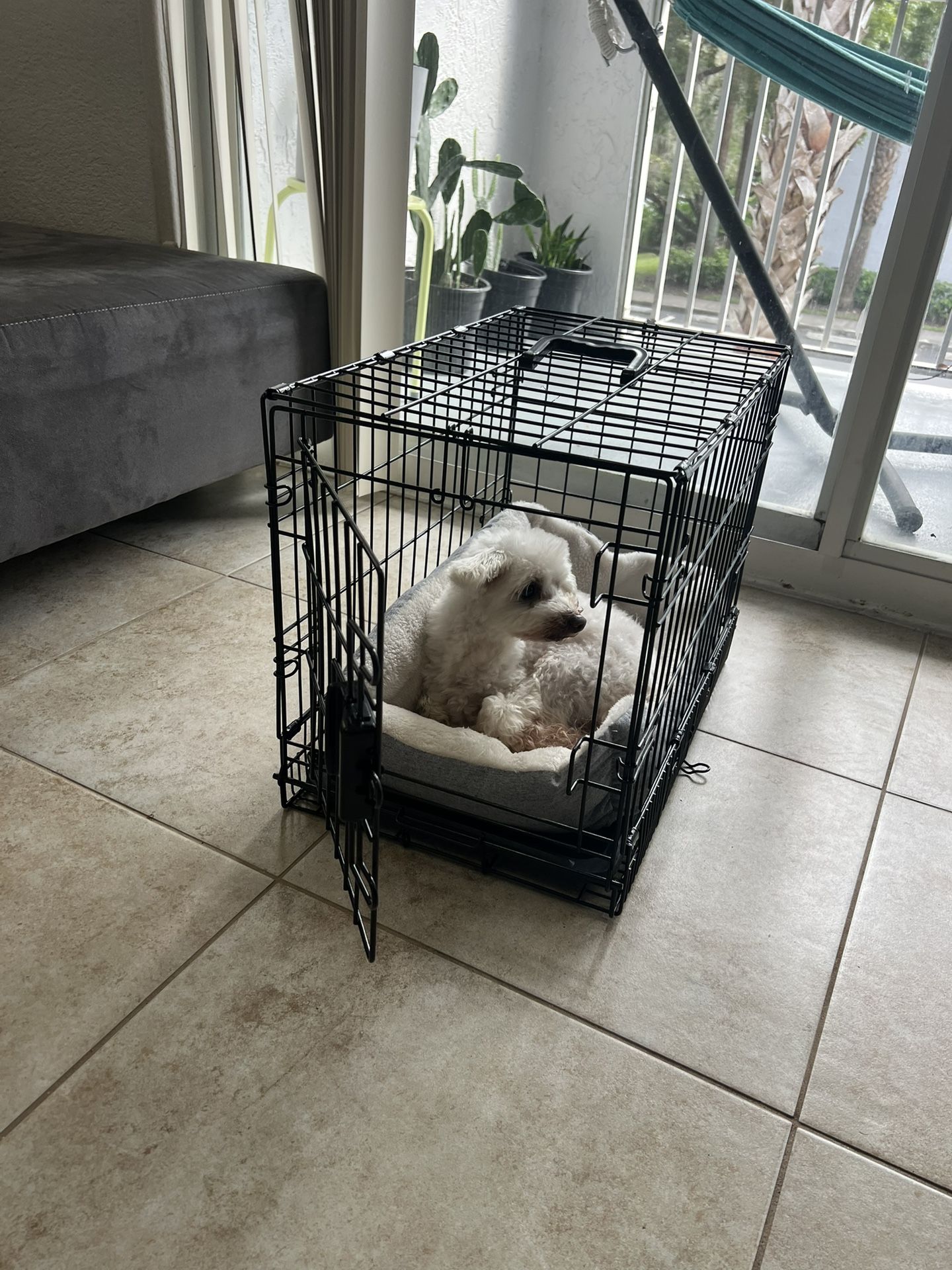 Crate For Dog / Jaula Para Perro Pequeño