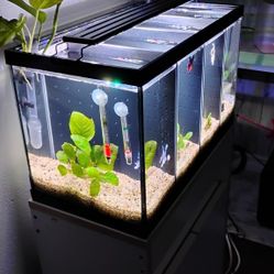 10 Gallon Bettas  Fish Tank, Canister Filter, Brand New Light , New Custom Cabinet , Fish Not Included $265 Obo