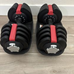 Dumbbell Pair Adjustable