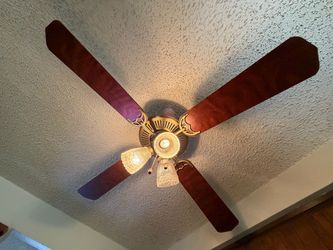 Ceiling fan