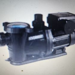 Everbilt 1 HP Variable Speed Pool Pump 