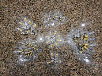 Lots Of Bulbs