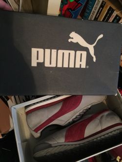 Puma size 6