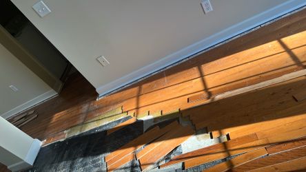 Hard wood floors