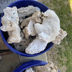 Saltwater Reef Aquarium Dry Live Rock Uncured 