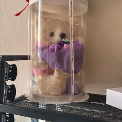 teddy bear 