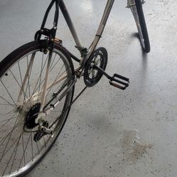 12 Speed Bike