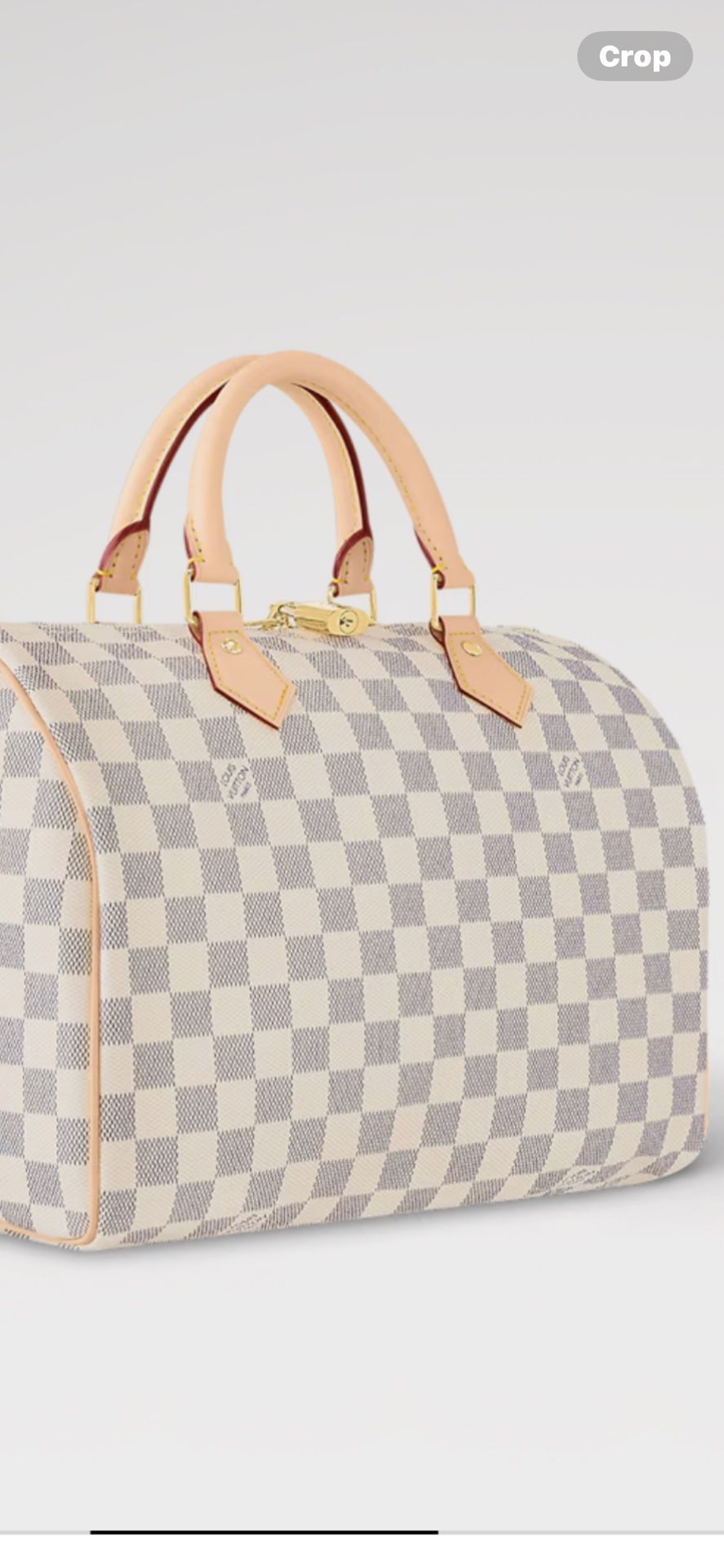 Louis Vuitton Speedy 35