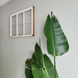 Glass Paned Windows For Decoration
