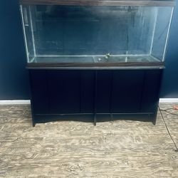 75 Gallon Fish Tank