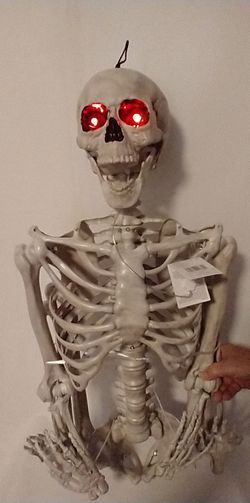 Ash 5 Ft Poseable Skeleton