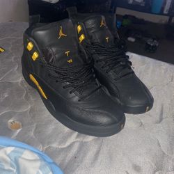 Jordan12s