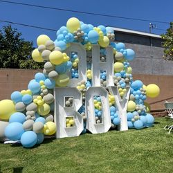 Gender reveal 