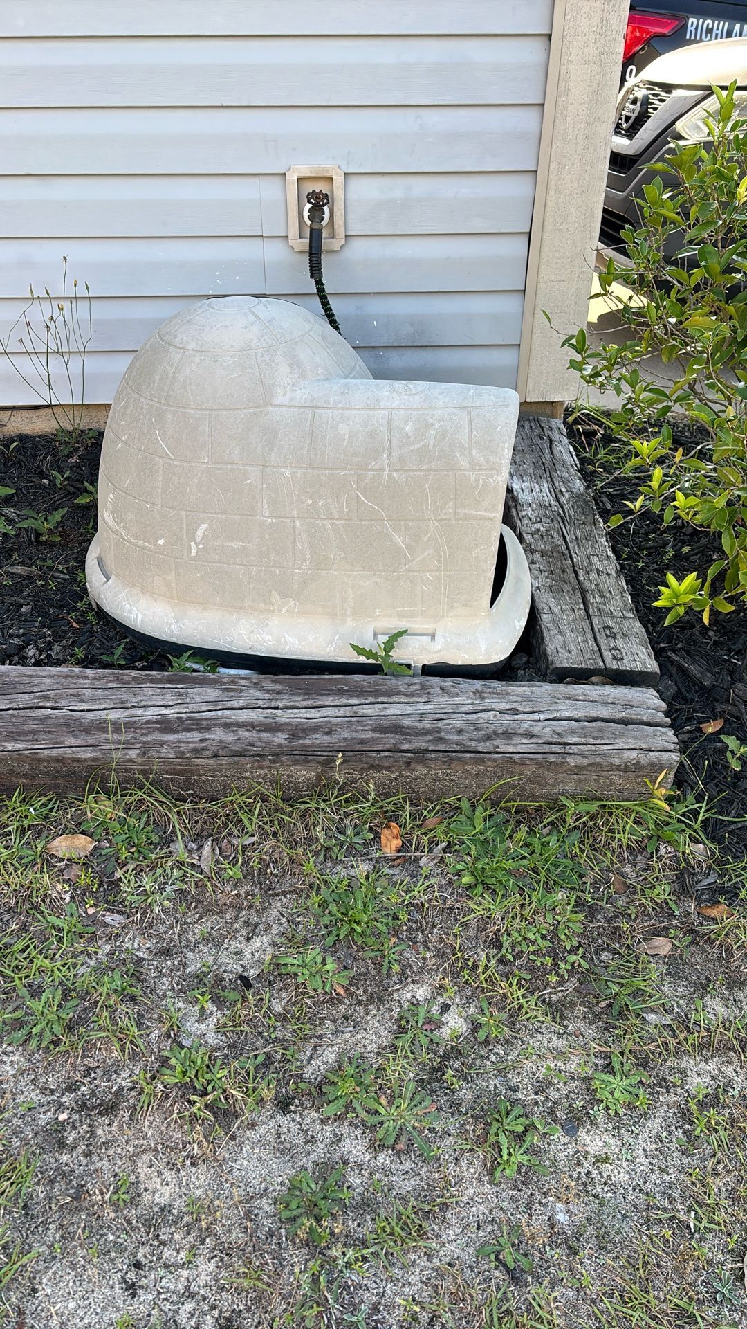 Dog House