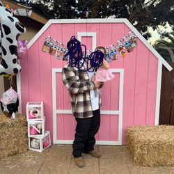 Pink Barn Decoration