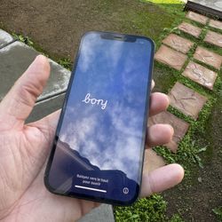 iPhone 12 – 64GB – Unlocked – 88% Battery