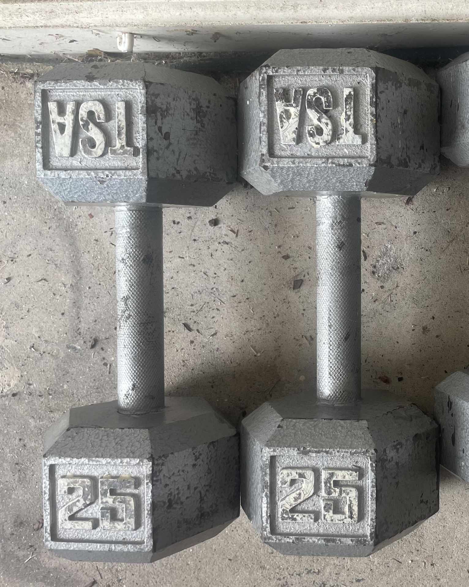 Pair of 25 lbs Dumbbells