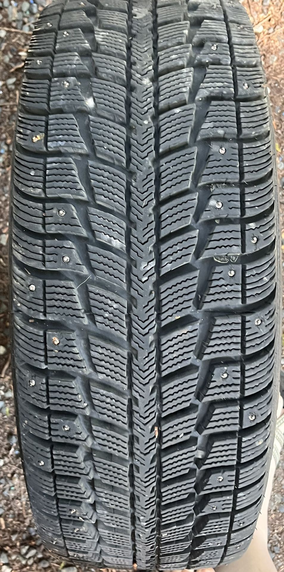 215/55/r16 97t xl hymyila ws2 Tires