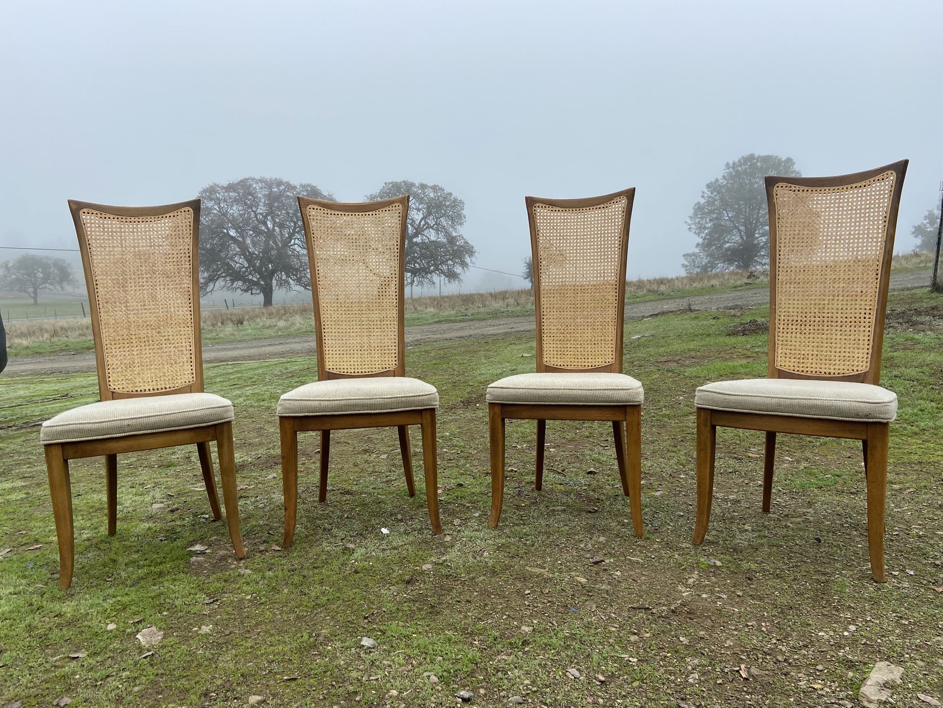 Vintage Mid Century Modern Drexel Dining Chairs
