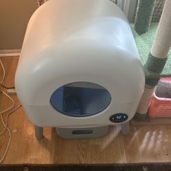Litter Box