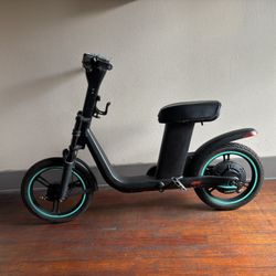 Electric Bike 48V500W