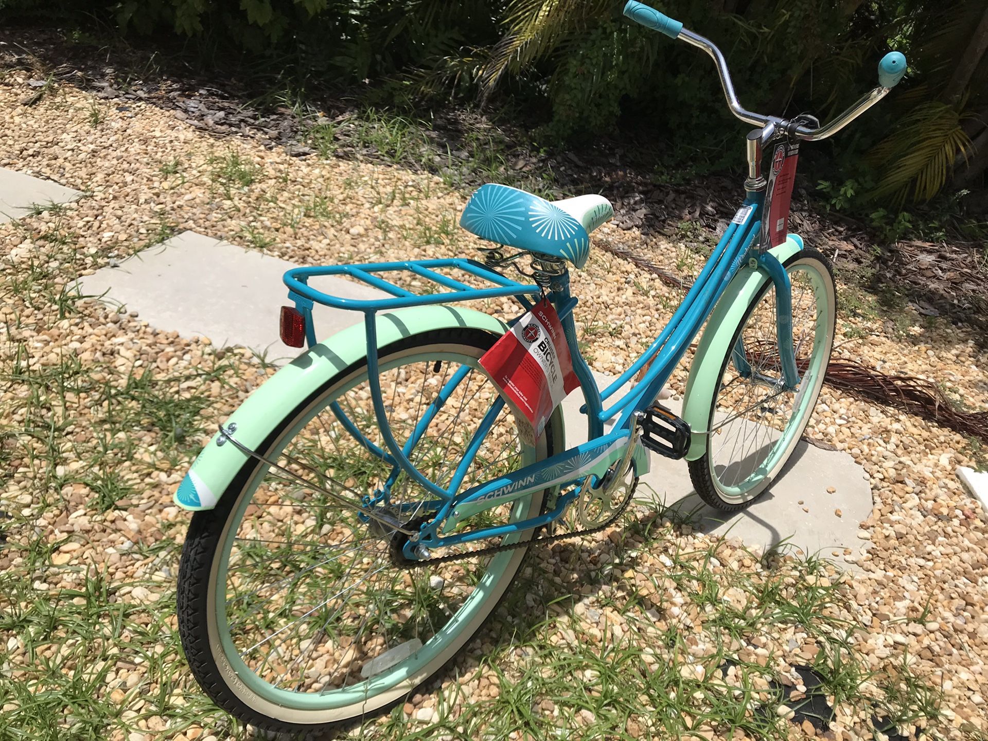 Schwinn cruiser bicycle (brand new) paid 130.00 steal of a deal .. beautiful color and just in time for fall bike riding