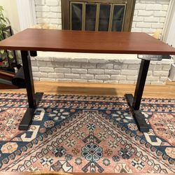 Standing Desk 30x48”
