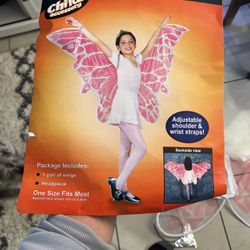 Child’s Pink Fairy Wings