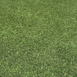 Turf 400sqft