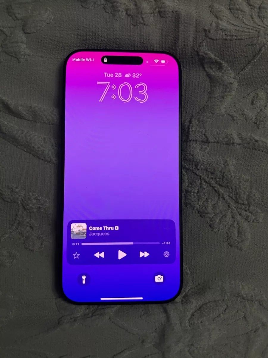 iPhone 16 Pro Max