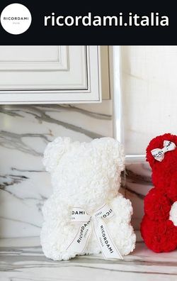 Ricordami Bear