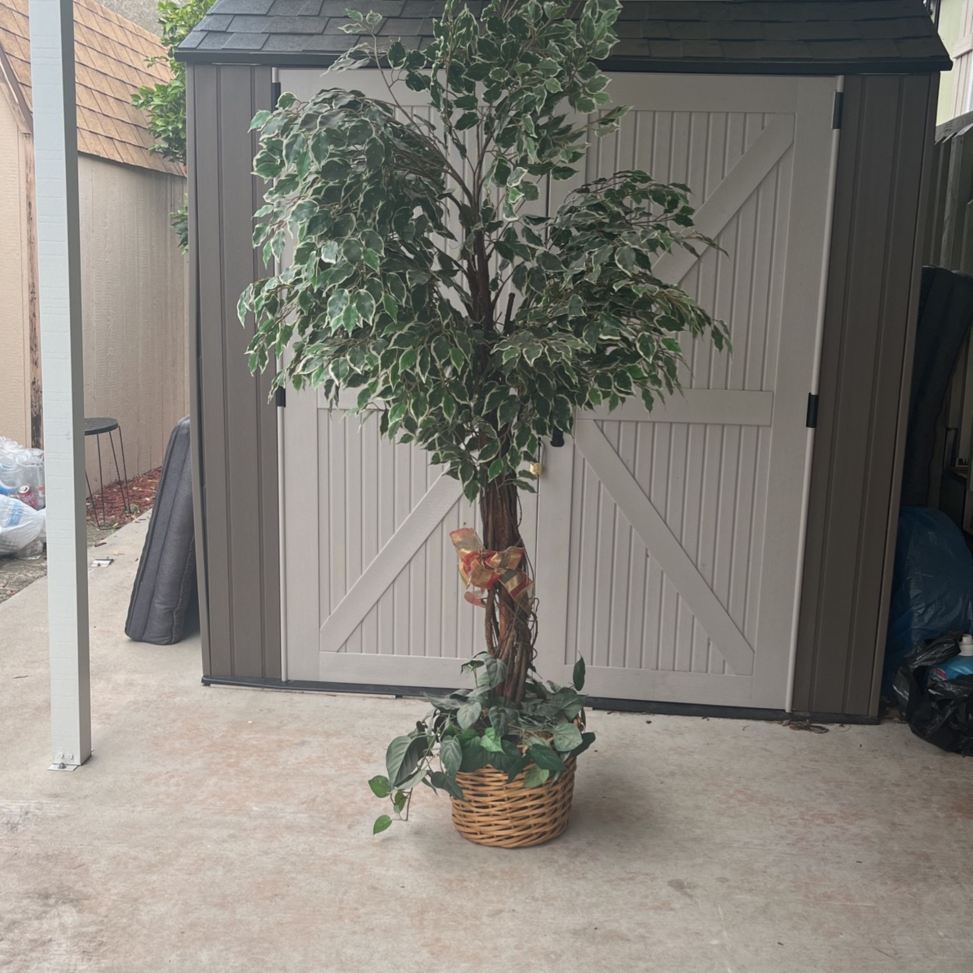 Fake Beautiful Plant