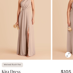 Birdy grey taupe Large size dress