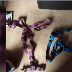 Large Dog Harnesses 