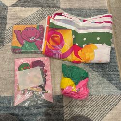 Barney Birthday Party Backdrop And Decors 