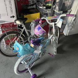 bike for adults and girls