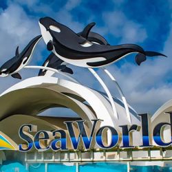 Seaworld Tickets/Boletos