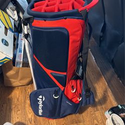 TaylorMade Team USA Golf Bag