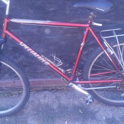 Specialized  Bicycle 🚲 Possibly A 29 Inch