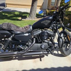 2016 Harley davidson 883