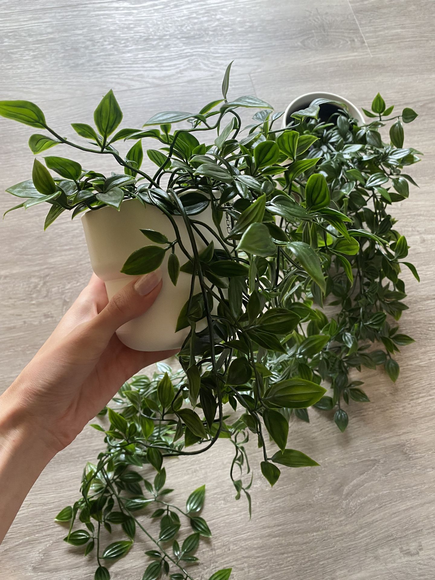 Two Faux IKEA Plants 