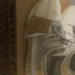 Yeezys 350