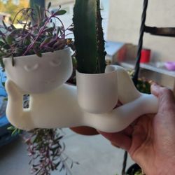 Custom Sexy Succulent Cactus Man Planter