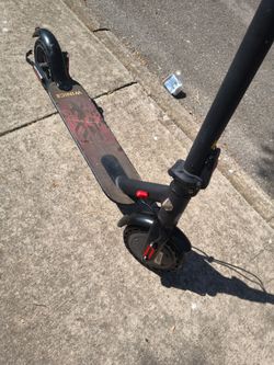 Winice Electric Scooter Black