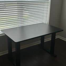 Standing/Height Adjustable Desk