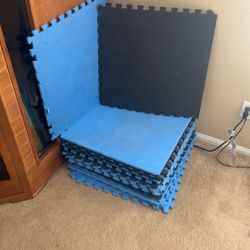 22 gym Floor Mats. 