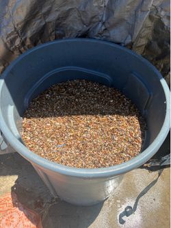 Gravel for fish tank