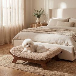 ONLY $85: Dog Sofa/ Dog Bed With Washable Foam Over In Walnut Wood
