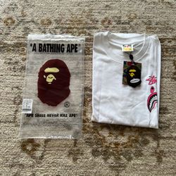 Bape X STUSSY