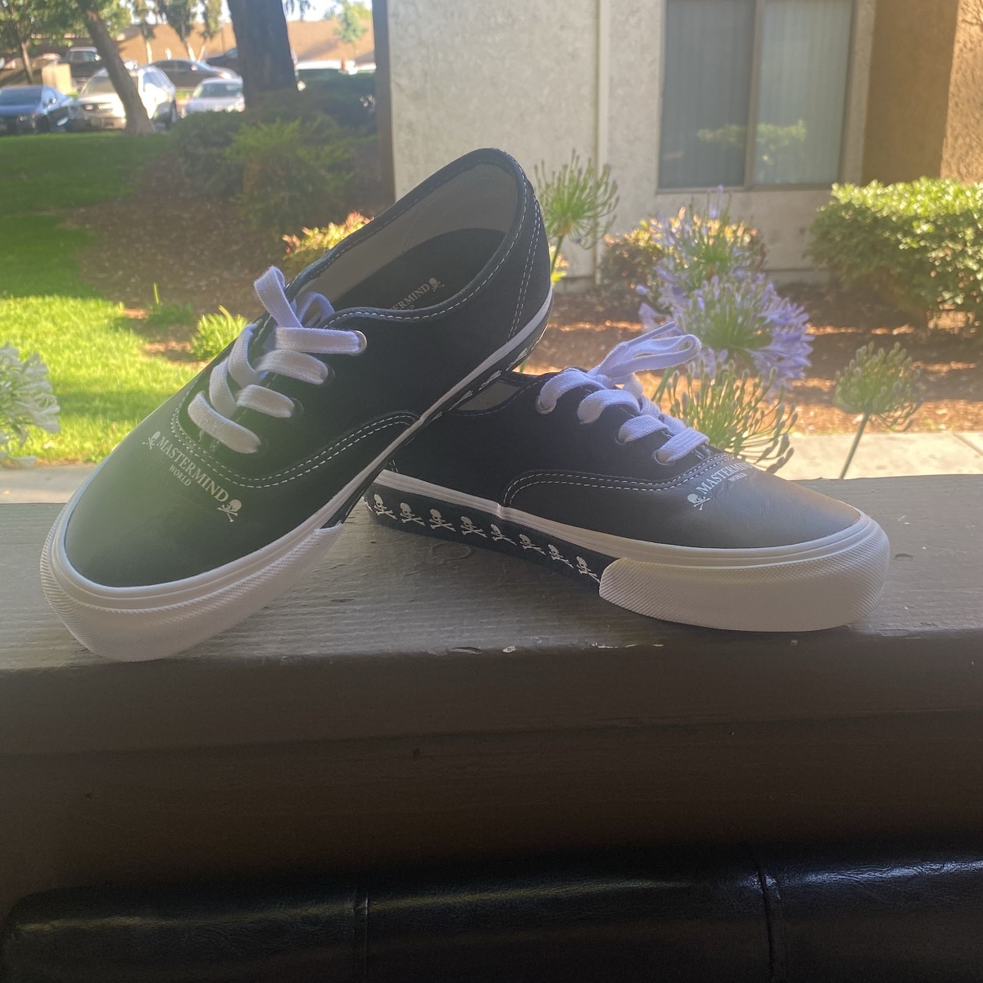 2023 Vans
